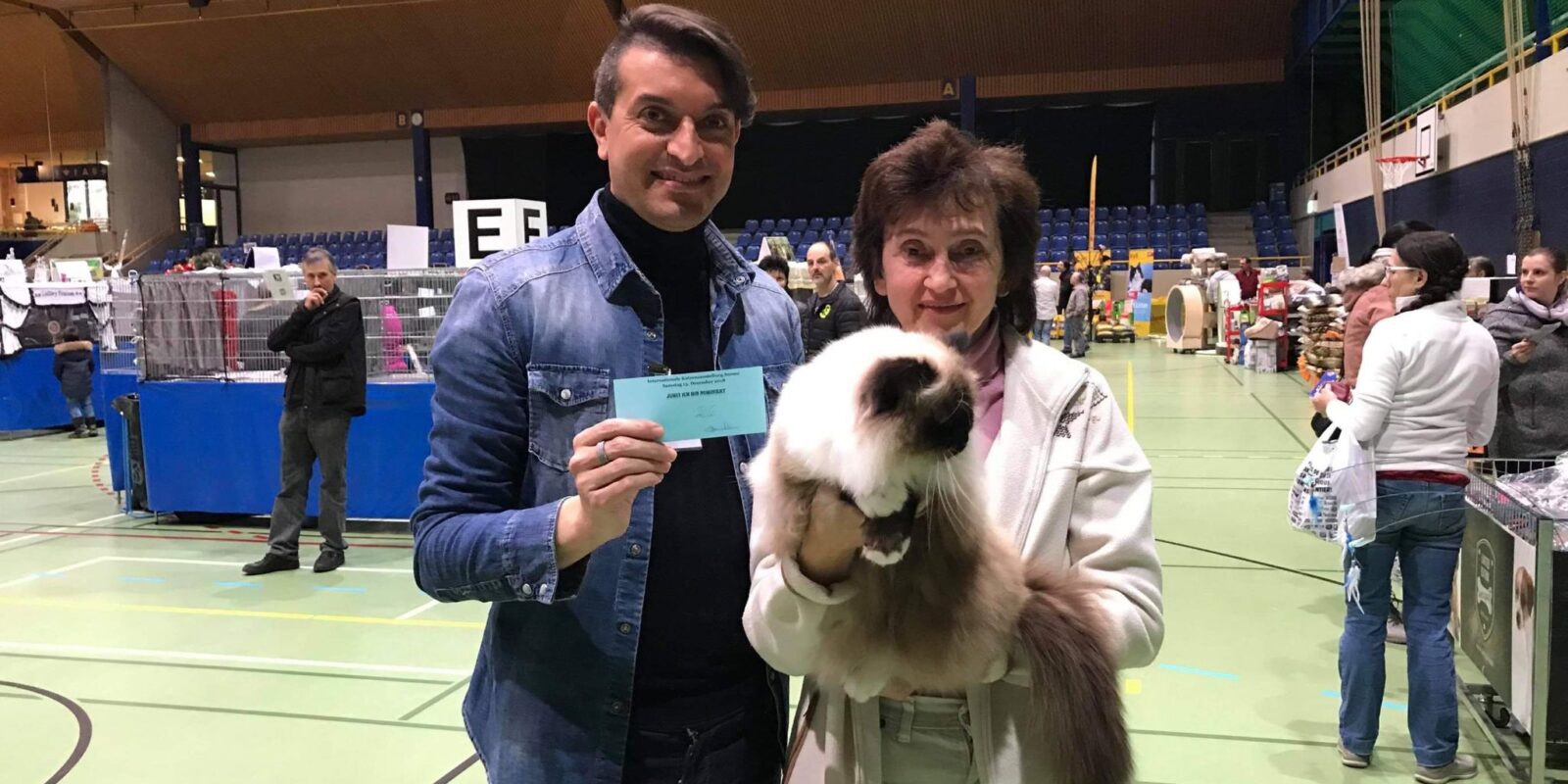 Myrabirmans Sacro Birmania Sacro di Birmania Van Morison